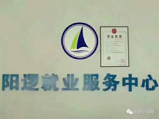 阳逻女工最新招聘信息，小巷中的独特风味招募启事