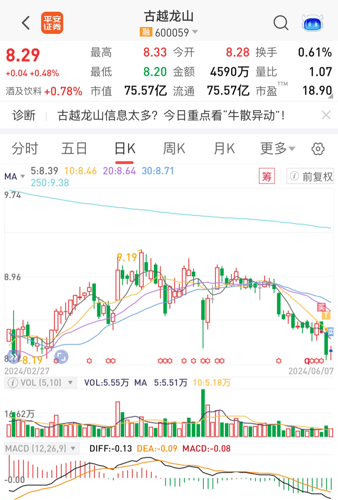 古越龙山股票股吧，小巷里的美食与投资双重魅力探索