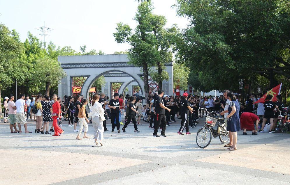 东莞台风最新动态，台风影响下的温馨日常