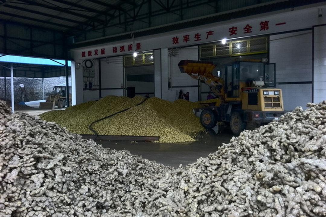 姜黄素价格走势分析，市场影响因素与趋势预测