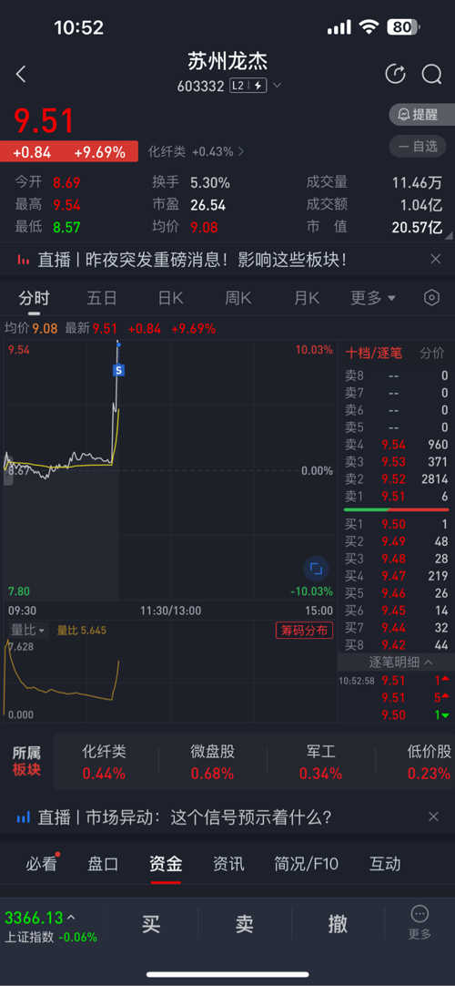苏州龙杰股票投资价值的深度解析