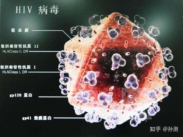 HIV2025最新研究进展及其论述概述
